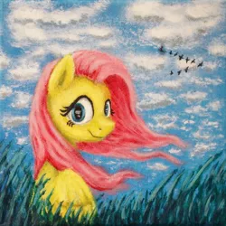 Size: 638x638 | Tagged: acrylic painting, artist:horseez, color correction, cropped, derpibooru import, fluttershy, grass, head turn, looking at you, safe, sitting, sky, solo, traditional art, windswept mane