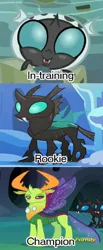 Size: 295x714 | Tagged: caption, changedling, changeling, changeling king, changeling larva, crossover, derpibooru import, digimon, digivolution, edit, edited screencap, evolution chart, grub, king thorax, male, safe, screencap, thorax, to where and back again