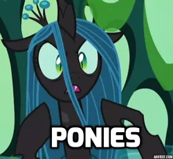 Size: 520x480 | Tagged: ancient aliens, caption, changeling, changeling queen, cropped, derpibooru import, edit, edited screencap, female, giorgio a. tsoukalos, meme, queen chrysalis, safe, screencap, solo, to where and back again