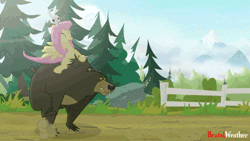 Size: 640x360 | Tagged: safe, artist:brutalweather studio, derpibooru import, angel bunny, fluttershy, harry, bear, pegasus, pony, rabbit, animated, cute, eyes closed, female, gif, mare, perfect loop, ponies riding bears, pun, rabbits riding ponies, riding, running, shyabetes, sitting on head, smiling, spread wings, trio, wings