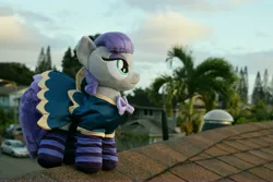 Size: 6000x4000 | Tagged: safe, artist:hystericalcub, artist:little-broy-peep, derpibooru import, maud pie, pony, absurd resolution, clothes, dress, irl, photo, plushie, socks, solo, striped socks