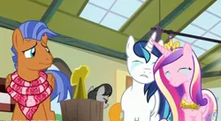 Size: 852x468 | Tagged: safe, derpibooru import, screencap, octavia melody, princess cadance, rainbow dash, shining armor, spearhead, pony, a flurry of emotions, clothes, crown, crying, discovery family logo, eyes closed, jewelry, regalia, sad armor, scarf