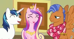 Size: 852x446 | Tagged: safe, derpibooru import, screencap, princess cadance, shining armor, spearhead, pony, a flurry of emotions, art exhibition, spread wings, wings