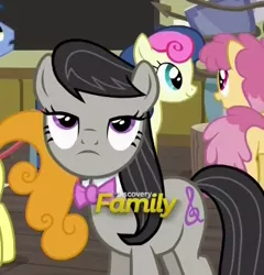 Size: 404x420 | Tagged: safe, derpibooru import, screencap, blues, bon bon, carrot top, dizzy twister, golden harvest, noteworthy, octavia melody, orange swirl, sweetie drops, pony, a flurry of emotions, art exhibition, discovery family logo, octavia is not amused, unamused