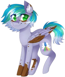 Size: 2075x2459 | Tagged: safe, artist:shiromidorii, derpibooru import, oc, oc:cirrus fever, unofficial characters only, pegasus, pony, colored pupils, cute, ear fluff, green eyes, looking at you, male, markings, ocbetes, profile, raised leg, simple background, solo, spots, standing, transparent background