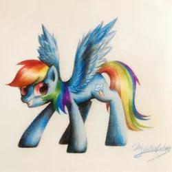 Size: 1936x1936 | Tagged: safe, artist:colorfulcolor233, derpibooru import, rainbow dash, pony, grin, simple background, smiling, solo, spread wings, traditional art, wings