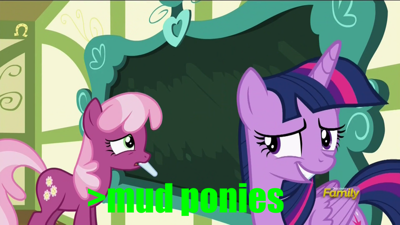 Size: 1152x648 | Tagged: safe, derpibooru import, edit, edited screencap, screencap, cheerilee, twilight sparkle, twilight sparkle (alicorn), alicorn, earth pony, pony, a flurry of emotions, chalk, chalkboard, discovery family logo, duo, female, greentext, image macro, mare, meme, mouth hold, out of character, racism, text