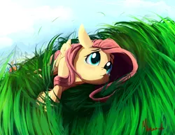 Size: 1400x1080 | Tagged: safe, artist:miokomata, derpibooru import, fluttershy, rainbow dash, pegasus, pony, crying, cute, female, folded wings, grass, grass field, imminent snuggles, looking up, lying down, mare, sad, sadorable, side, sky, solo focus, teary eyes, unaware, when you see it