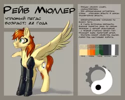 Size: 5000x4000 | Tagged: safe, artist:vincher, derpibooru import, oc, oc:rave muller, unofficial characters only, cyborg, pegasus, pony, absurd resolution, cyrillic, male, mechanical legs, reference sheet, russian, solo, spread wings, stallion, wings