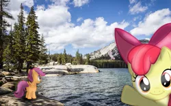 Size: 1131x707 | Tagged: safe, artist:digitalpheonix, artist:disneybrony2012, artist:tamalesyatole, artist:uxyd, derpibooru import, apple bloom, scootaloo, sweetie belle, pony, blank flank, blurry, cutie mark crusaders, hill, irl, lake, photo, photobomb, ponies in real life, tree, vector