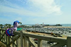 Size: 4928x3264 | Tagged: safe, artist:172rainbow, derpibooru import, twilight sparkle, twilight sparkle (alicorn), alicorn, pony, absurd resolution, car, irl, photo, pier, plushie, ponies around the world, santa monica