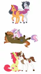 Size: 1024x1828 | Tagged: safe, artist:colourstrike, derpibooru import, apple bloom, button mash, pipsqueak, rumble, scootaloo, sweetie belle, classical unicorn, earth pony, pegasus, pony, unicorn, blushing, chest fluff, cloven hooves, colored hooves, colored wings, colored wingtips, cutie mark, cutie mark crusaders, female, leonine tail, male, older, older apple bloom, older button mash, older rumble, older scootaloo, older sweetie belle, piebald coloring, pipbloom, rumbloo, shipping, simple background, stallion, straight, sweetiemash, tail seduce, the cmc's cutie marks, unshorn fetlocks, white background