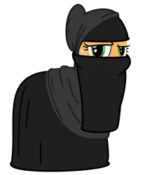 Size: 1234x1492 | Tagged: artist needed, safe, derpibooru import, applejack, earth pony, pony, clothes, islam, niqab, simple background, solo, transparent background