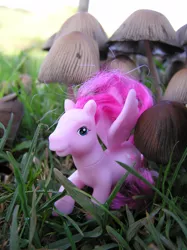 Size: 1280x1707 | Tagged: artist:travelling-my-little-pony, derpibooru import, fungus, g1, grass, heart throb, irl, mushroom, outdoors, photo, safe, toadstool, toy