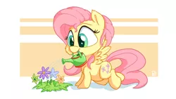 Size: 3840x2160 | Tagged: safe, artist:pirill, derpibooru import, fluttershy, pony, chibi, cute, flower, fluttershy day, looking at something, looking down, shyabetes, simple background, solo, spread wings, watering, watering can, wings