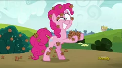 Size: 1920x1080 | Tagged: safe, derpibooru import, screencap, pinkie pie, pony, rock solid friendship, bipedal, discovery family logo, eye scream, solo, stingbush seed pods