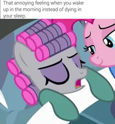 Size: 653x705 | Tagged: safe, derpibooru import, edit, edited screencap, screencap, maud pie, pinkie pie, pony, rock solid friendship, clothes, cropped, dank memes, hair curlers, image macro, me irl, meme, obligatory pony, pajamas