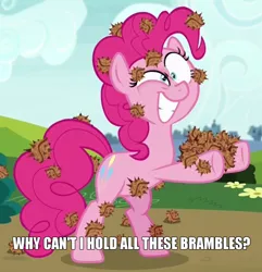 Size: 942x979 | Tagged: safe, derpibooru import, edit, edited screencap, screencap, pinkie pie, pony, rock solid friendship, brambles, cropped, image macro, meme, reaction image, solo, stingbush seed pods