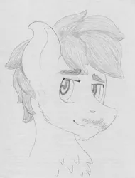 Size: 3296x4334 | Tagged: safe, artist:andandampersand, derpibooru import, oc, oc:chip, unofficial characters only, pony, absurd resolution, bust, facial hair, grayscale, monochrome, portrait, solo, traditional art