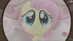 Size: 400x225 | Tagged: safe, derpibooru import, screencap, fluttershy, pony, fluttershy leans in, animated, cute, fisheye lens, gif, shyabetes, smiling, solo, treehouse logo