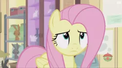 Size: 914x512 | Tagged: safe, derpibooru import, screencap, fluttershy, pony, fluttershy leans in, fluttershy is not amused, unamused