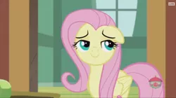 Size: 914x512 | Tagged: safe, derpibooru import, screencap, fluttershy, pegasus, pony, fluttershy leans in, cute, female, floppy ears, mare, shyabetes, smiling, solo