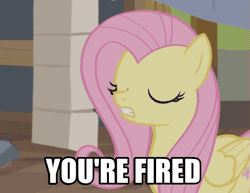 Size: 583x451 | Tagged: safe, derpibooru import, screencap, fluttershy, pegasus, pony, fluttershy leans in, animated, gif, image macro, meme, solo