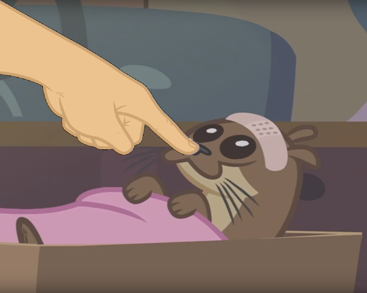 Size: 1166x931 | Tagged: :3, animal, bandage, boop, boop edit, derpibooru import, edit, edited screencap, finger, fluttershy leans in, hand, otter, safe, screencap