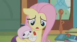 Size: 844x462 | Tagged: safe, derpibooru import, screencap, angel bunny, fluttershy, pony, rabbit, fluttershy leans in, animal, injured