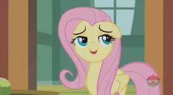 Size: 844x462 | Tagged: safe, derpibooru import, screencap, fluttershy, pegasus, pony, fluttershy leans in, cute, female, floppy ears, mare, open mouth, shyabetes, smiling, solo