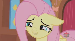 Size: 844x462 | Tagged: safe, derpibooru import, screencap, fluttershy, pegasus, pony, fluttershy leans in, cute, female, floppy ears, mare, shyabetes, smiling, solo