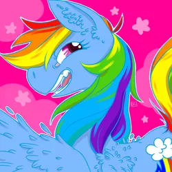 Size: 1280x1280 | Tagged: safe, artist:gibbyybearr, derpibooru import, rainbow dash, pony, bust, icon, open mouth, over shoulder, portrait, smiling, solo, teeth, wings