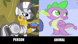 Size: 1534x872 | Tagged: safe, derpibooru import, edit, edited screencap, screencap, spike, zecora, dragon, pony, zebra, bowl, comparison, female, grin, hoof hold, image macro, male, mare, meme, open mouth, plot, poison joke, smiling