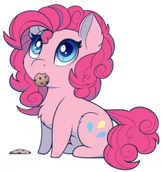 Size: 748x793 | Tagged: safe, artist:evehly, derpibooru import, pinkie pie, earth pony, pony, behaving like a cat, c:, cheek fluff, chest fluff, chibi, cookie, cute, diapinkes, ear fluff, female, fluffy, food, leg fluff, looking up, mare, mouth hold, nom, short legs, simple background, sitting, smiling, solo, weapons-grade cute, white background