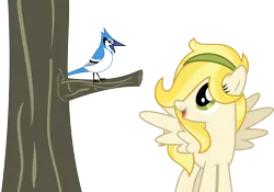 Size: 2858x2000 | Tagged: safe, artist:audiobeatzz, derpibooru import, oc, oc:tilly, unofficial characters only, bird, blue jay, pegasus, pony, female, high res, mare, simple background, solo, spread wings, transparent background, tree, vector, wings