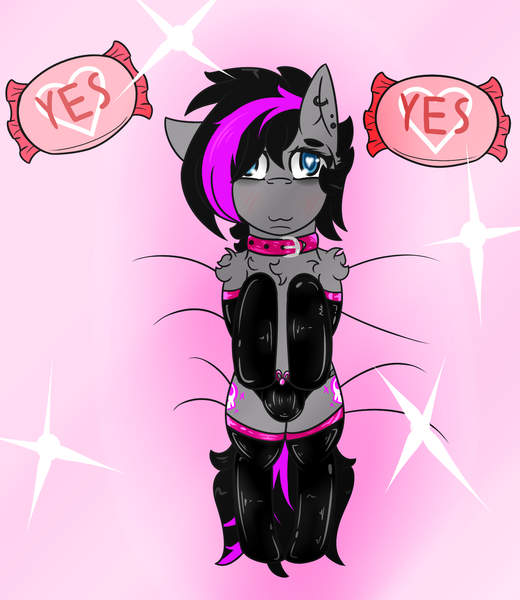 Size: 1300x1500 | Tagged: questionable, artist:lazerblues, derpibooru import, oc, oc:damage case, unofficial characters only, pony, blushing, chest fluff, clothes, collar, crossdressing, crotch bulge, ear piercing, fluffy, from above, gloves, latex, latex gloves, latex socks, male, on back, piercing, shoulder fluff, socks, solo, solo male, stallion, trap