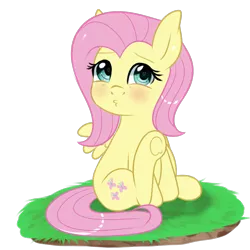 Size: 1000x1000 | Tagged: safe, artist:sugguk, derpibooru import, fluttershy, pony, blushing, cute, shyabetes, simple background, sitting, solo, transparent background