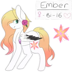 Size: 2048x2048 | Tagged: safe, artist:cinnamontee, derpibooru import, oc, oc:ember, unofficial characters only, pegasus, pony, colored wings, colored wingtips, female, high res, mare, reference sheet, solo