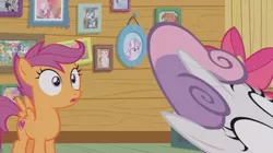 Size: 1600x897 | Tagged: safe, derpibooru import, screencap, apple bloom, applejack, big macintosh, cheerilee, chipcutter, diamond tiara, rainbow dash, rarity, scootaloo, shady daze, sweetie belle, tender taps, earth pony, pony, forever filly, cutie mark crusaders, great moments in animation, male, smear frame, stallion