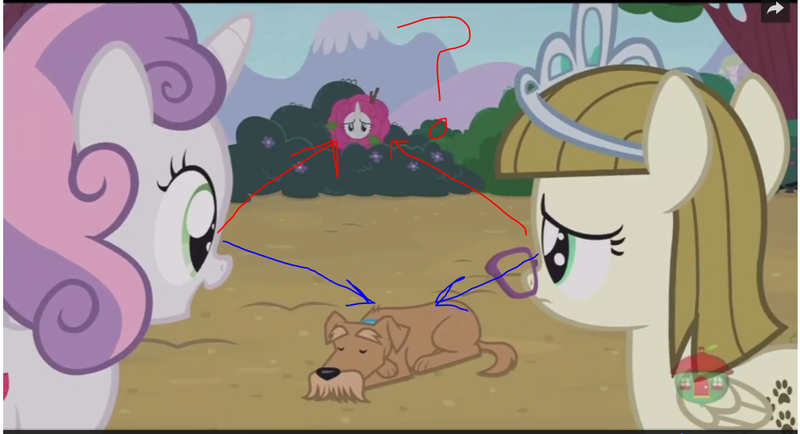 Size: 1009x548 | Tagged: safe, derpibooru import, edit, edited screencap, screencap, rarity, ripley, sweetie belle, zippoorwhill, pony, forever filly, arrows, bush, failed a spot check, question mark