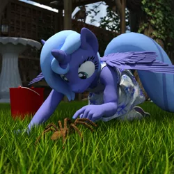 Size: 1500x1500 | Tagged: safe, artist:tahublade7, derpibooru import, princess luna, alicorn, anthro, plantigrade anthro, spider, 3d, bucket, clothes, daz studio, dress, female, grass, image, png, solo, woona, younger