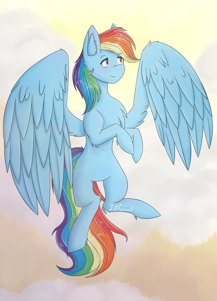 Size: 2025x2805 | Tagged: safe, artist:littlecactusik, derpibooru import, rainbow dash, pony, chest fluff, ear fluff, flying, solo