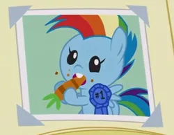 Size: 514x400 | Tagged: safe, derpibooru import, screencap, rainbow dash, pony, parental glideance, baby, baby dash, baby pony, blue ribbon, carrot, cute, dashabetes, foal, food, nom, photo, scrapbook