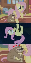 Size: 502x1019 | Tagged: safe, derpibooru import, screencap, fluttershy, lola the sloth, pegasus, pony, sloth, 28 pranks later, fluttershy leans in, close-up, cute, faic, female, frown, gritted teeth, hanging, hug, mare, meme, open mouth, raised hoof, scared, screencap comic, shyabetes, smiling, solo, tree, upside down, wavy mouth, wide eyes