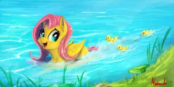 Size: 1400x700 | Tagged: safe, artist:miokomata, derpibooru import, fluttershy, duck pony, pegasus, pony, behaving like a bird, behaving like a duck, cute, cute little fangs, duckling, fangs, female, grass, mare, open mouth, shyabetes, signature, smiling, swimming, water