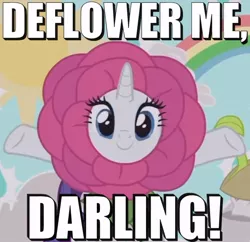 Size: 738x715 | Tagged: suggestive, derpibooru import, edit, edited screencap, screencap, rarity, pony, forever filly, caption, cropped, darling, flower costume, flowerity, image macro, innuendo, meme, solo