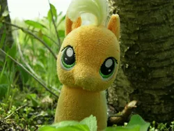 Size: 4608x3456 | Tagged: safe, artist:mfg637, derpibooru import, applejack, earth pony, pony, absurd resolution, cute, female, irl, looking at you, mare, nature, photo, plushie, solo, toy