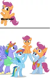Size: 904x1384 | Tagged: safe, artist:deadparrot22, artist:limedazzle, artist:nouseyourname, derpibooru import, bow hothoof, rainbow dash, scootaloo, windy whistles, pegasus, pony, parental glideance, sleepless in ponyville, clothes, cute, family, female, filly, male, mare, multicolored hair, old el paso, rainbow dash's parents, reaction image, scootalove, shrug, simple background, smiling, stallion, unshorn fetlocks, vector, white background, why not both, windyhoof