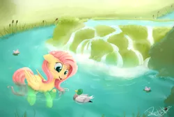 Size: 3000x2015 | Tagged: safe, artist:pucksterv, derpibooru import, fluttershy, duck, duck pony, mallard, pegasus, pony, cute, duo, female, flutterduck, looking at something, male, mare, op, pond, river, shyabetes, signature, smiling, solo, swimming, water, water lily