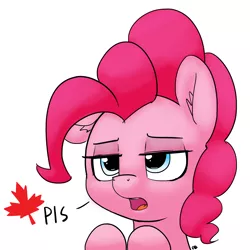 Size: 1280x1280 | Tagged: safe, artist:pabbley, derpibooru import, pinkie pie, pony, canada, dialogue, ear fluff, lidded eyes, open mouth, simple background, solo, unamused, white background